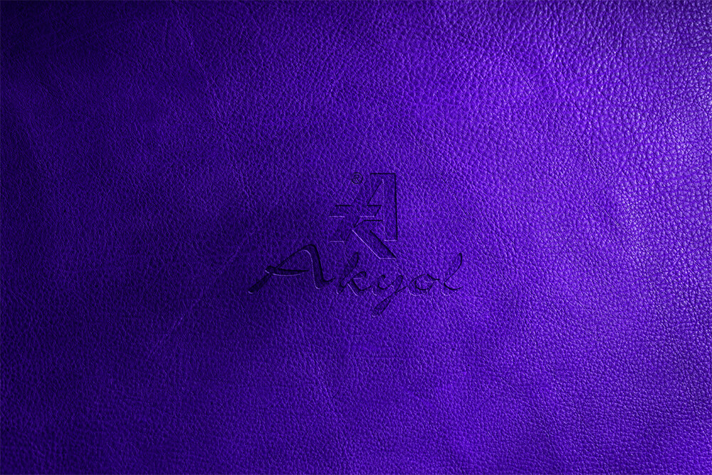 akyol2 (Özel) (1)