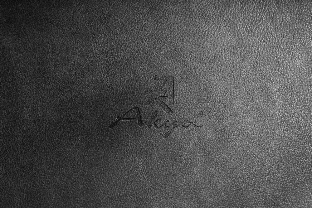 akyol3 (Özel)