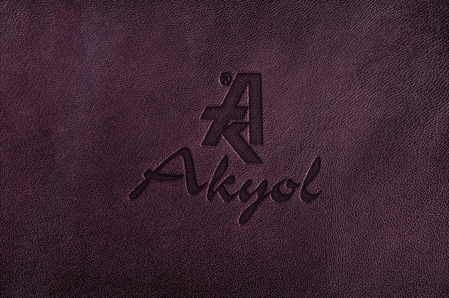 akyolcst3-min (1)